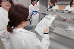 Zajecia laboratoryjne na Wydziale Chemii