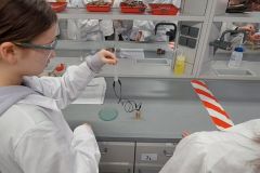 Zajecia laboratoryjne na Wydziale Chemii