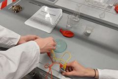 Zajecia laboratoryjne na Wydziale Chemii