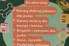 Zbiórka dla schroniska