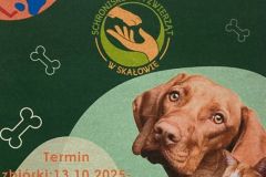 Zbiórka dla schroniska