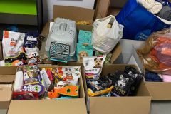 Zbiórka dla schroniska