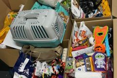 Zbiórka dla schroniska