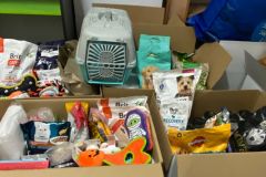 Zbiórka dla schroniska