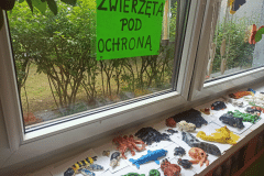 Zwierzęta pod ochroną
